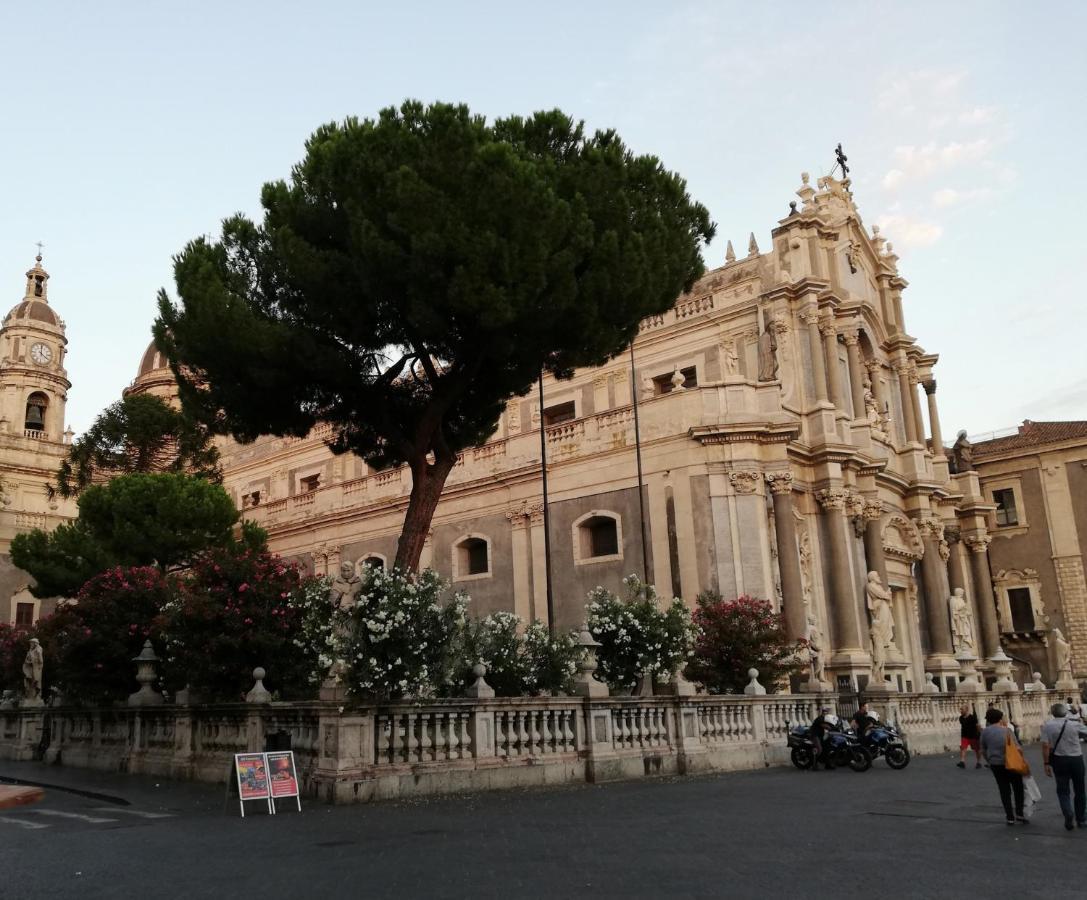 Magaria * Catania